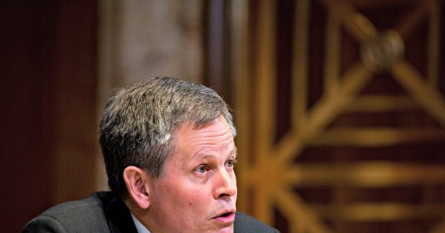 Daines: Swalwell 'Needs to Get in Front of a Congressional Committee'