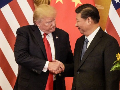 TOPSHOT - US President Donald Trump (L) shakes hand with China's President Xi Jinping at t