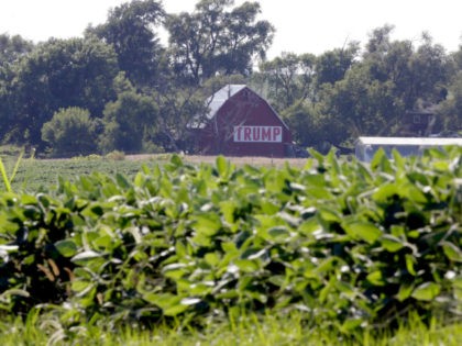A barn with a banner reading "Trump" is seen behind a field of soy beans in Ashland, Neb., Tuesday, July 24, 2018. The Trump administration announced Tuesday it will provide $12 billion in emergency relief to ease the pain of American farmers slammed by President Donald Trump's escalating trade disputes …