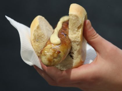 BERLIN, GERMANY - JANUARY 19: A visitor holds a Thuringian rostbratwurst pork sausage with mustard sandwich at the 2018 International Green Week (Internationale Gruene Woche) agricultural trade fair on January 19, 2018 in Berlin, Germany. The International Green Week is among the world's biggest agricultural trade fairs and brings together …
