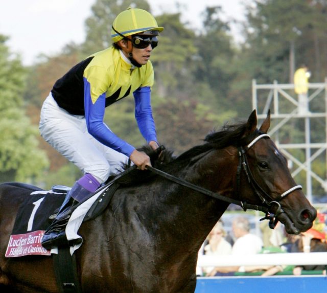 Emotional tributes as champion horse Deep Impact put down