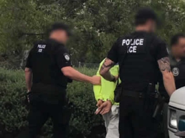 Immigration officers arrest criminal aliens during a targeted operation. (File Photo: U.S. Immigration and Customs Enforcement/Enforcement and Removal Operations)