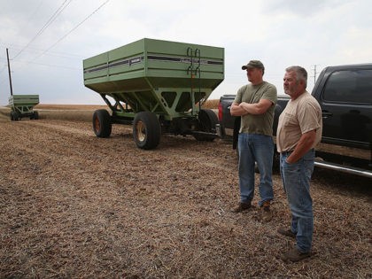 WORTHINGTON, MN - OCTOBER 02: Ron Porth (R) and his son John help to harvest soybeans on October 2, 2013 near Worthington, Minnesota. According to the Commerce Department, farm earnings nationwide were down 14.6% during the second quarter of the year. Many Midwest states, which are rebounding from last year's …