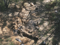 Brooks County Sheriff's Office officials recover the remains of a migrant on a Texas ranch about 80 miles from Mexican border. (Photo: Brooks County Sheriff's Office/Deputy Robert Castanon)
