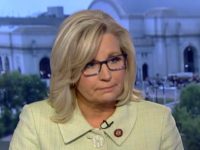 Liz Cheney: ‘Ronald Reagan Could Have Given’ Kamala Harris DNC Speech