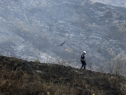 A firefighter walks in the middle of a forest burned by a fire on February 4, 2019 in a rural area near Cali, Colombia. - The fire that broke out on Saturday consumed about 140 hectares of forest. (Photo by Luis ROBAYO / AFP) (Photo credit should read LUIS ROBAYO/AFP/Getty …