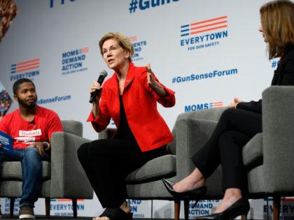 DES MOINES, IA - AUGUST 10: Democratic presidential candidate Sen. Elizabeth Warren (D-MA) (C) speaks on stage during a forum on gun safety at the Iowa Events Center on August 10, 2019 in Des Moines, Iowa. Today Warren and her campaign introduced a gun control plan to reduce gun deaths …