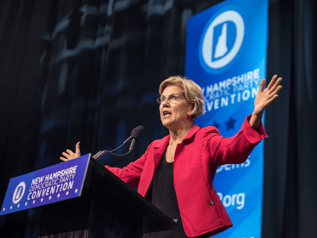 Democratic presidential candidate, Sen. Elizabeth Warren (D-MA) speaks during the New Hamp