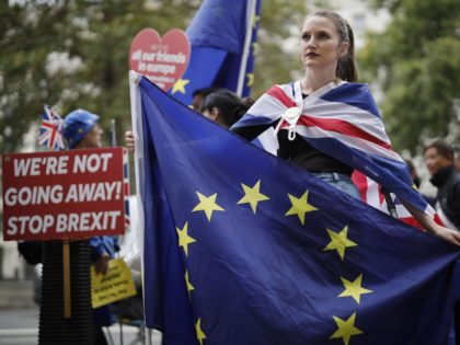 Anti-Brexit activists, and demonstrators opposing the British government's actions in