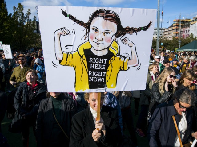 An activist holds up placard depicting the 16-year-old Swedish climate activist Greta Thunberg during "Fridays for future" demonstration, a worldwide climate strike against governmental inaction towards climate breakdown and environmental pollution in Stockholm on September 27, 2019. (Photo by Jonathan NACKSTRAND / AFP) (Photo credit should read JONATHAN NACKSTRAND/AFP/Getty Images)
