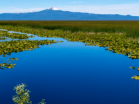 Klamath Wildlife National Refuge
