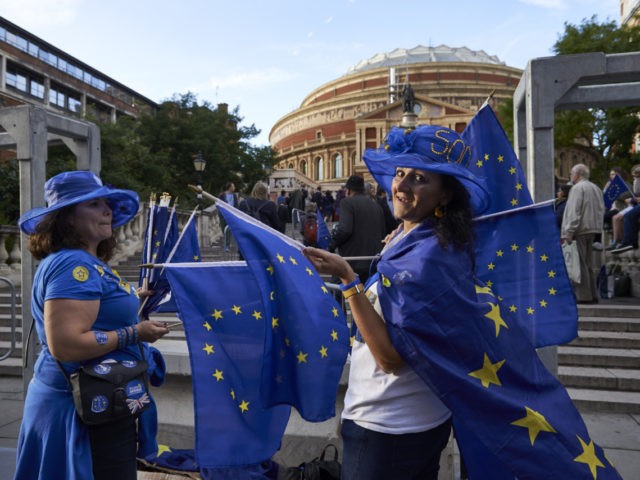 Pro-EU demonstrators activists hand out EU flags to concert goers outside the Royal Albert