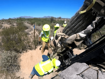 U.S. Army Corps of Engineers construction crews carefully move protected species in the Or