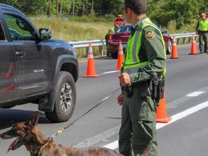 Swanton Sector Border Patrol officials nab 24 migrants and a wanted felon during operations at and around an immigration interior checkpoint. (Photo: U.S. Border Patrol/Swanton Sector)