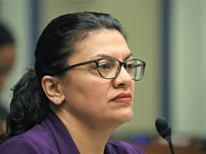 WASHINGTON, DC - SEPTEMBER 24: Rep. Rashida Tlaib (D-MI) participates in a House Oversight and Reform Sub-Committee hearing on Capitol Hill, September 24, 2019 in Washington, DC. The hearing focused on the outbreak of lung disease and CDC's urgent warning not to use E-cigarettes. (Photo by Mark Wilson/Getty Images)