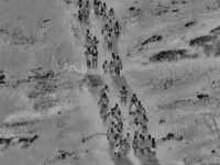 EXCLUSIVE: Migrant 'Got-Away' Numbers Soar as Apprehensions Spike