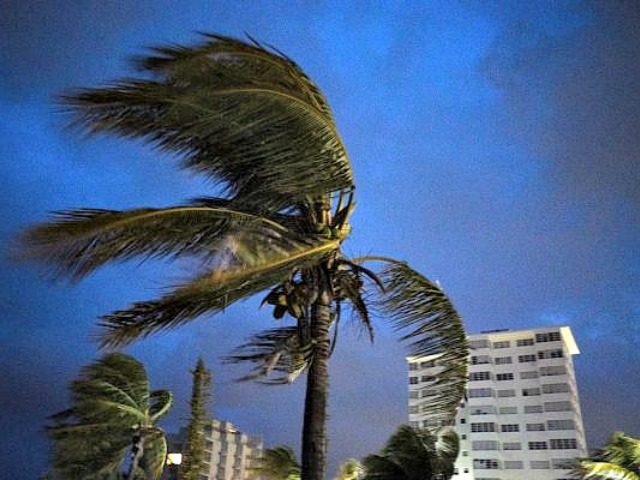Strong winds move the palms of the palm trees at the first moment of the arrival of Hurric