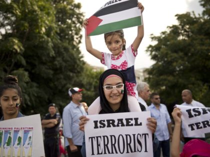 Members of Palestinian comunity in Romania take part in an anti-war and anti-Israel protes