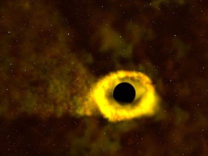 black hole rips apart star