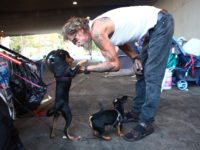 LOS ANGELES, CALIFORNIA - SEPTEMBER 09: Antonio DeSilva, who is currently homeless, plays with his dogs outside his tent on September 09, 2019 in Los Angeles, California. A new plan under consideration in the city would bar homeless people from sleeping on sidewalks and streets in more than 25 percent …