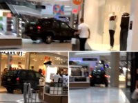 illinois-suv-mall