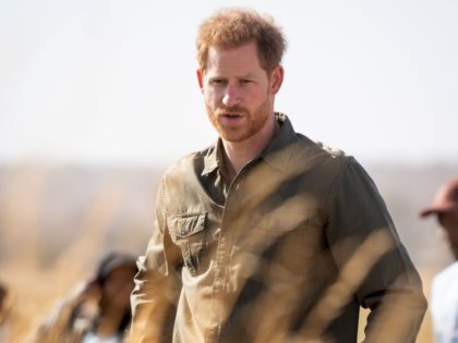 CHOBE NATIONAL PARK, BOTSWANA - SEPTEMBER 26: Prince Harry, Duke of Sussex helps to plant trees at the Chobe Tree Reserve in Botswana, on day four of their tour of Africa on September 26, 2019 in Chobe National Park, Botswana. (Photo by Dominic Lipinski - Pool /Getty Images)