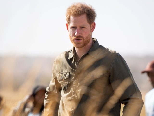 CHOBE NATIONAL PARK, BOTSWANA - SEPTEMBER 26: Prince Harry, Duke of Sussex helps to plant