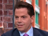 Scaramucci: Revoking Birthright Citizenship Most ‘Anti-American’ Presidential Action Po