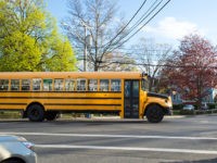 school bus