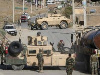 170-Plus Taliban Jihadis Killed amid Attacks After Peace Talks Cancelled