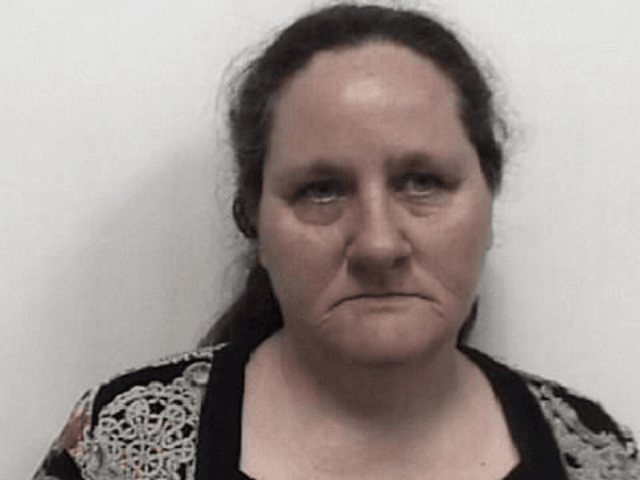 Alice Leann Todd, 45, of Bud Kanoy Road in Thomasville, is accused of trading her 2-year-o