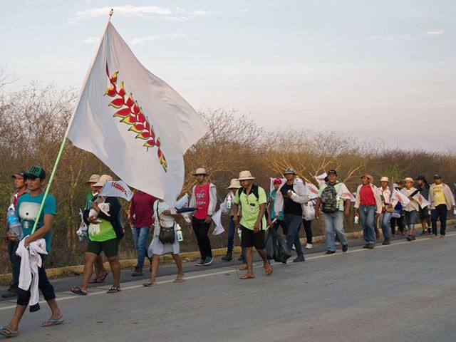 Indigenous people march towards the city of Santa Cruz to demand Bolivian President Evo Morales to declare the Chiquitania region a disaster zone due to forest fires, in San Jose de Chiquitos, Santa Cruz department, Bolivia on October 2, 2019. (Photo by STR / AFP) (Photo by STR/AFP via Getty …