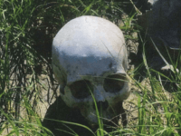 Brooks County Sheriff's Office deputies recover the skeletal remains of a deceased migrant. (Photo: Brooks County Sheriff's Office/Deputy Bianca Mora)