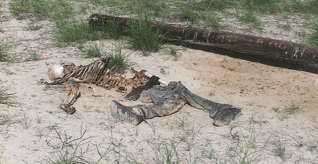 Brooks County Sheriff's Office officials recover the skeletal remains of a deceased migrant on a ranch located about 80 miles from the Texas/Mexico border. (Brooks County Sheriff's Office/Deputy Bianca Mora)
