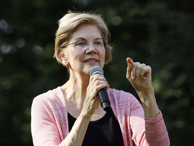 Democratic presidential candidate Sen. Elizabeth Warren speaks during a house party, Frida