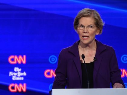 Elizabeth Warren (Saul Loeb / AFP / Getty)