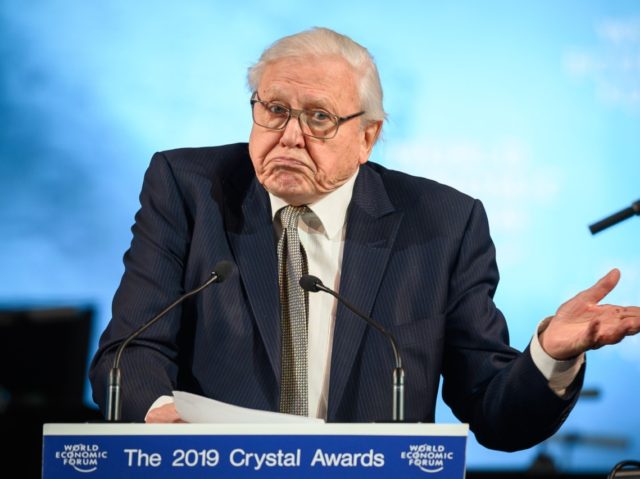 British naturalist, documentary maker and broadcaster David Attenborough delivers a speech after receiving a Crystal Award during a ceremony ahead of the World Economic Forum (WEF) 2019 annual meeting, on January 21, 2019 in Davos, eastern Switzerland. (Photo by Fabrice COFFRINI / AFP) (Photo credit should read FABRICE COFFRINI/AFP/Getty Images)