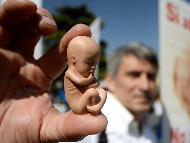 A pro-life, anti-abortion and pro-family activist displays a rubber foetus during a "March for Family" within the World Congress of Families (WCF) conference on March 31, 2019 in Verona. (Photo by Filippo MONTEFORTE / AFP) (Photo credit should read FILIPPO MONTEFORTE/AFP/Getty Images)