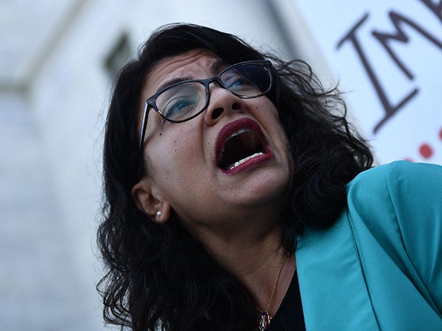 Rep. Rashida Tlaib D-MI joins activists asking for impeachment of US President Trump as they gather on Capitol Hill on September 23, 2019 in Washington,DC. - The demonstration and press event was to demand the House of Representatives to take urgent and immediate action towards impeaching US President Donald Trump. …