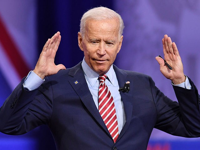 Democratic presidential hopeful former US Vice President Joe Biden gestures as he speaks d