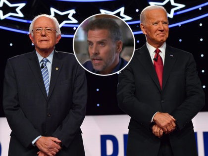 (INSET: Hunter Biden) Democratic presidential hopefuls former US Vice President Joe Biden