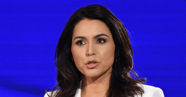 Gabbard: Government 'Driving a Wedge Between' Parents, Their Kids