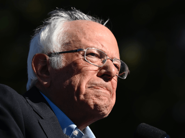 2020 Democratic presidential hopeful US Senator Bernie Sanders (D-VT) speaks to supporters