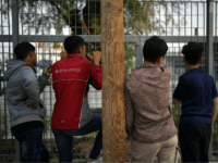 Asylum Seekers Shot After Breaking Greek Migrant Camp Quarantine