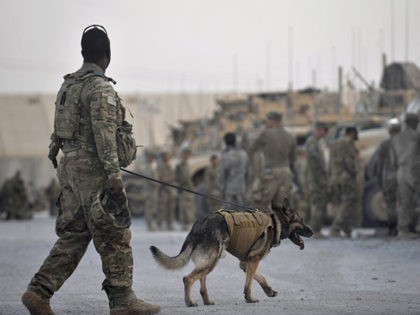 This photo taken on August 14, 2011 shows US Army Staff Sergeant Lindsey Thompson of US Forces Afghanistan K-9 unit and Mayo, a German Shepherd, preparing to board a convoy of armored vehicles with troops from Bravo and Delta Company, 2-87 Infantry Battalion, 3rd Combat Brigade Team at the Forward …