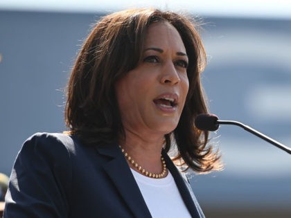Democratic presidential hopeful Senator Kamala Harris speaks at a Labor Day rally for healthcare workers and supports, September 2, 2019 in Los Angeles, California. (Photo by Robyn Beck / AFP) (Photo credit should read ROBYN BECK/AFP/Getty Images)