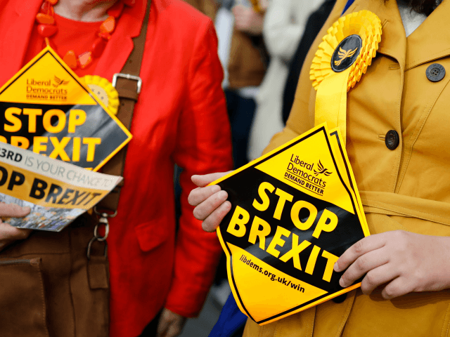 Liberal Democrats party activists hold "Stop Brexit" leaflets as they canvas for support f