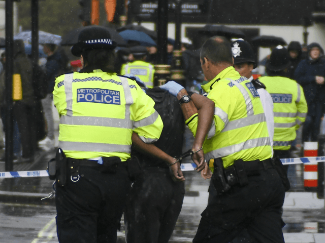 Police and medics respond to an incident outside the gates of the Houses of Parliament, in