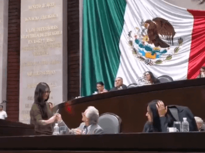 Mexican Congress Joint