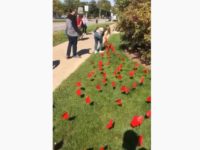 Michigan State U pro-life display